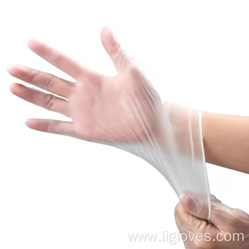 Powder Free PVC Vinyl Gloves Food Grade Gloves